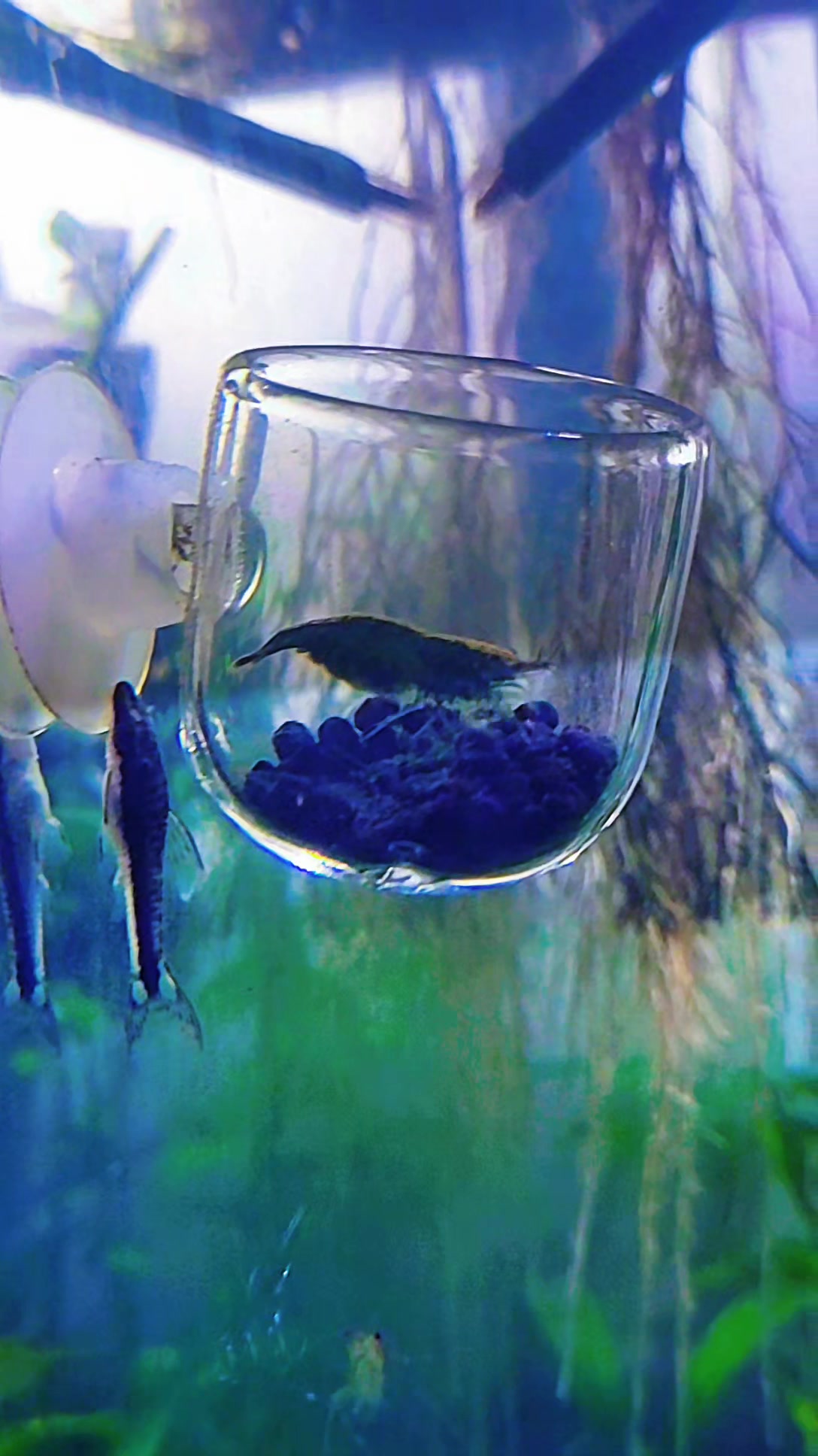 @🐌 AquaGirl ~ Here Fishy Fishy