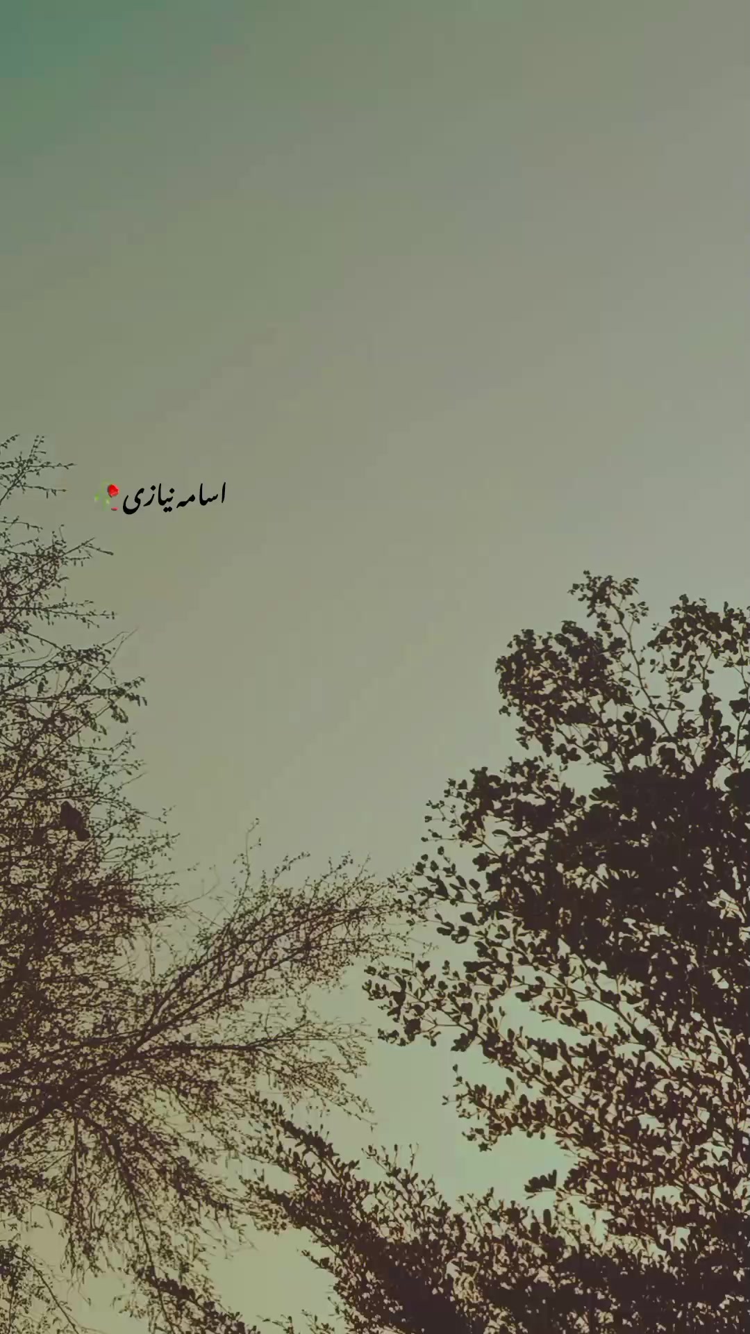 @اُسامہ 🍂