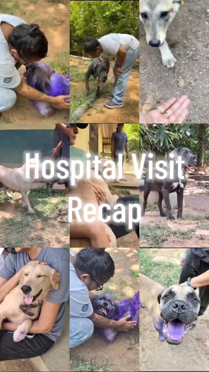 @tailsoffreedomsl