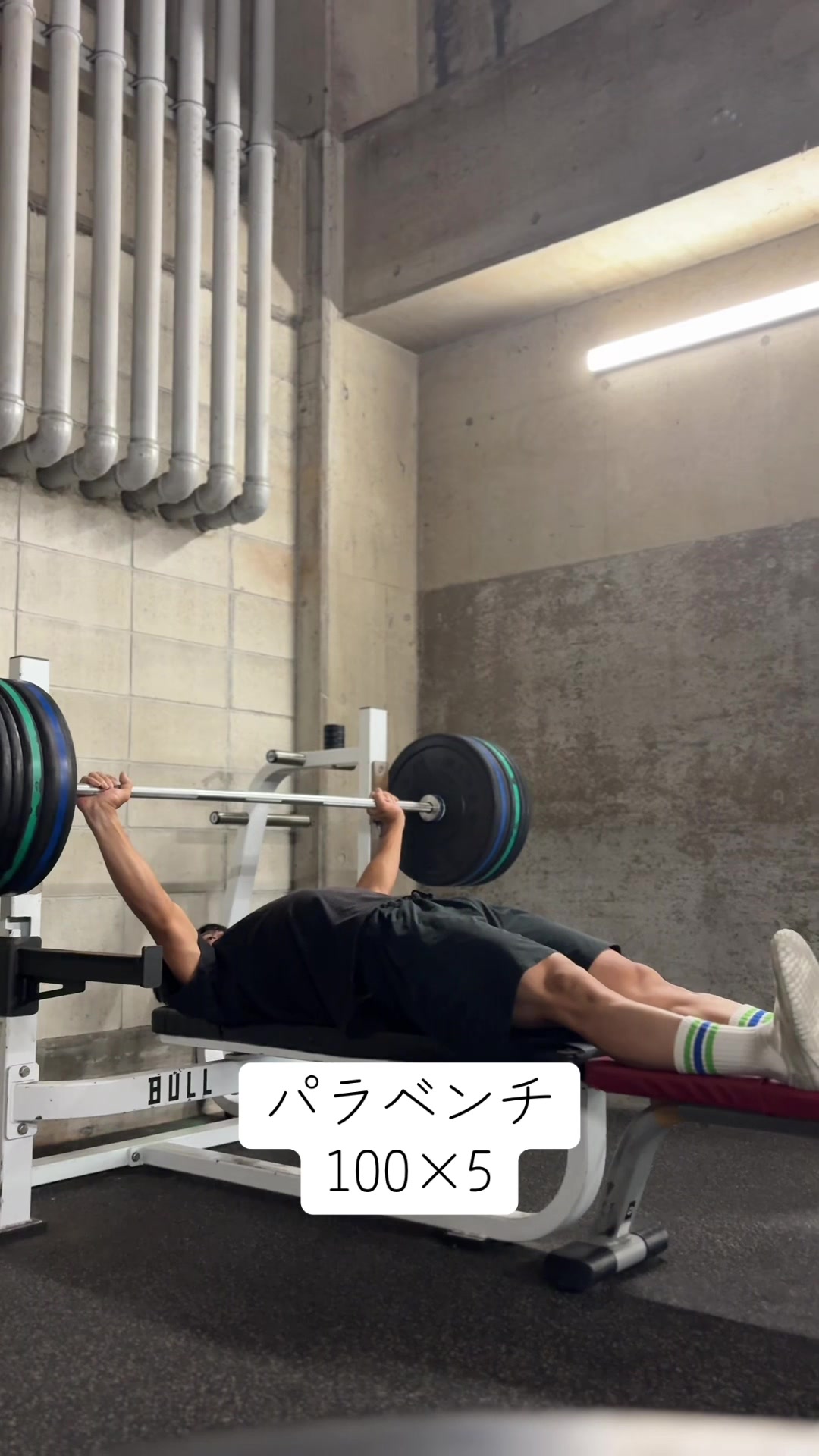 @キクタン【円盤投げてます】