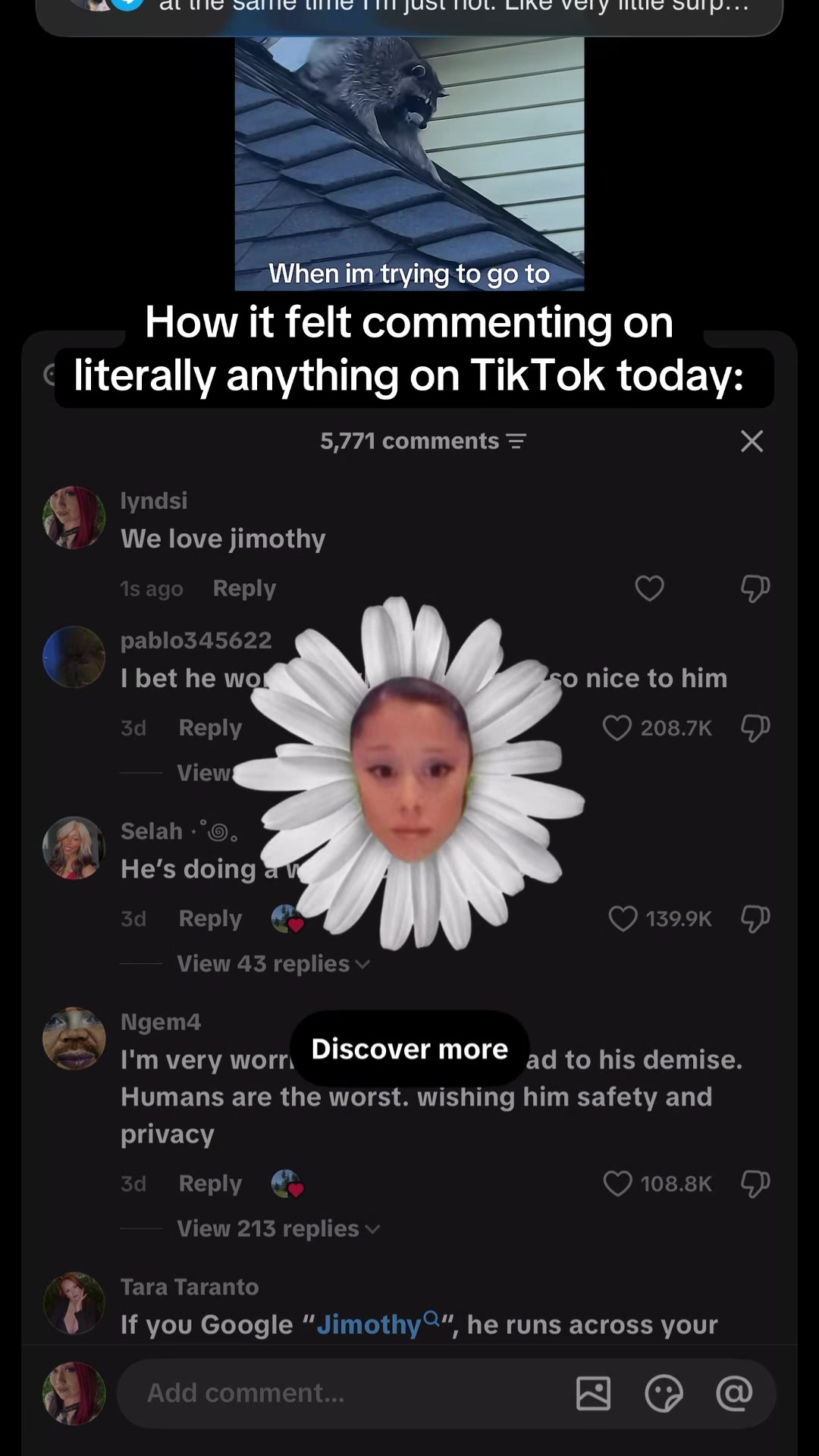 @lyndsi