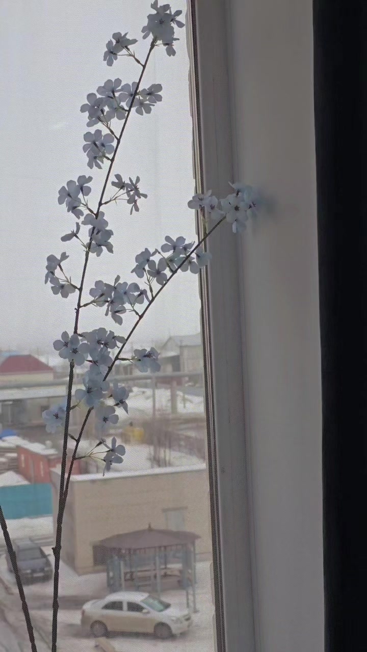 @𝑨𝒊𝒅𝒂