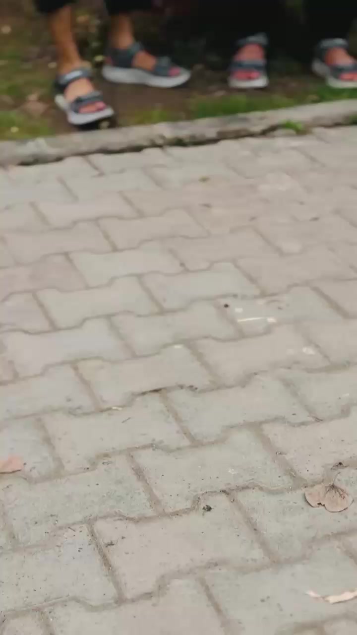 @🦅Musa Jaan 🧸