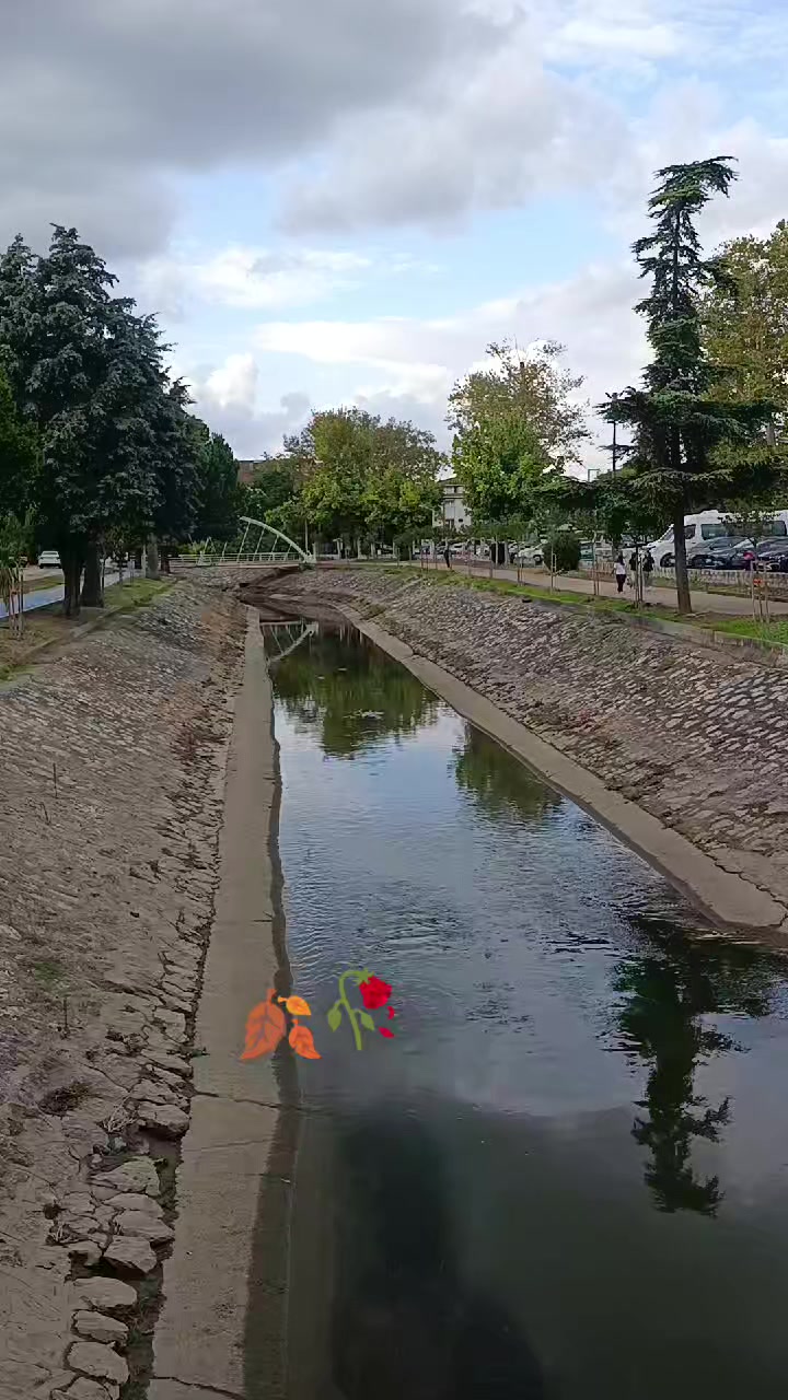 @࿐٭ۦْمٍلآڪ آلࢪۆحٍ
