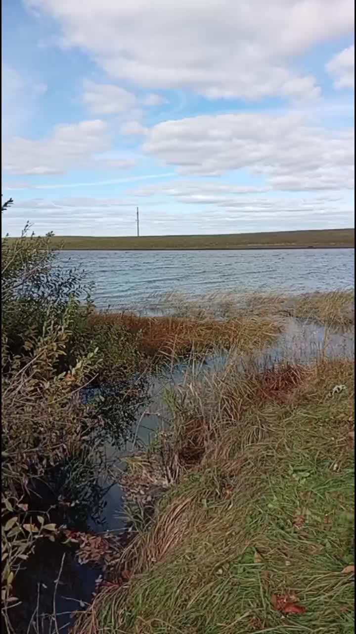 @Алексей Сасин709