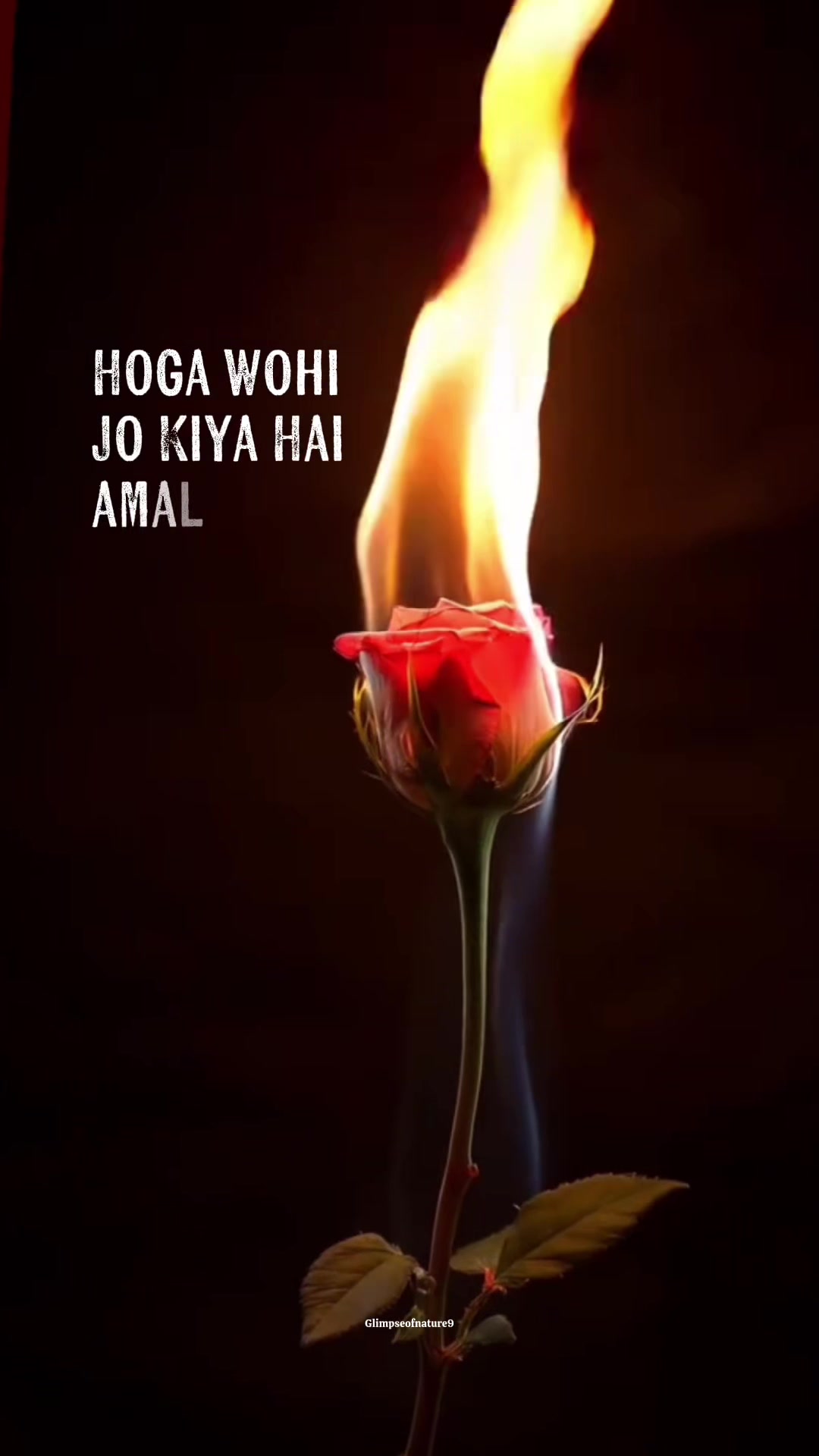 @Amna Mir❥