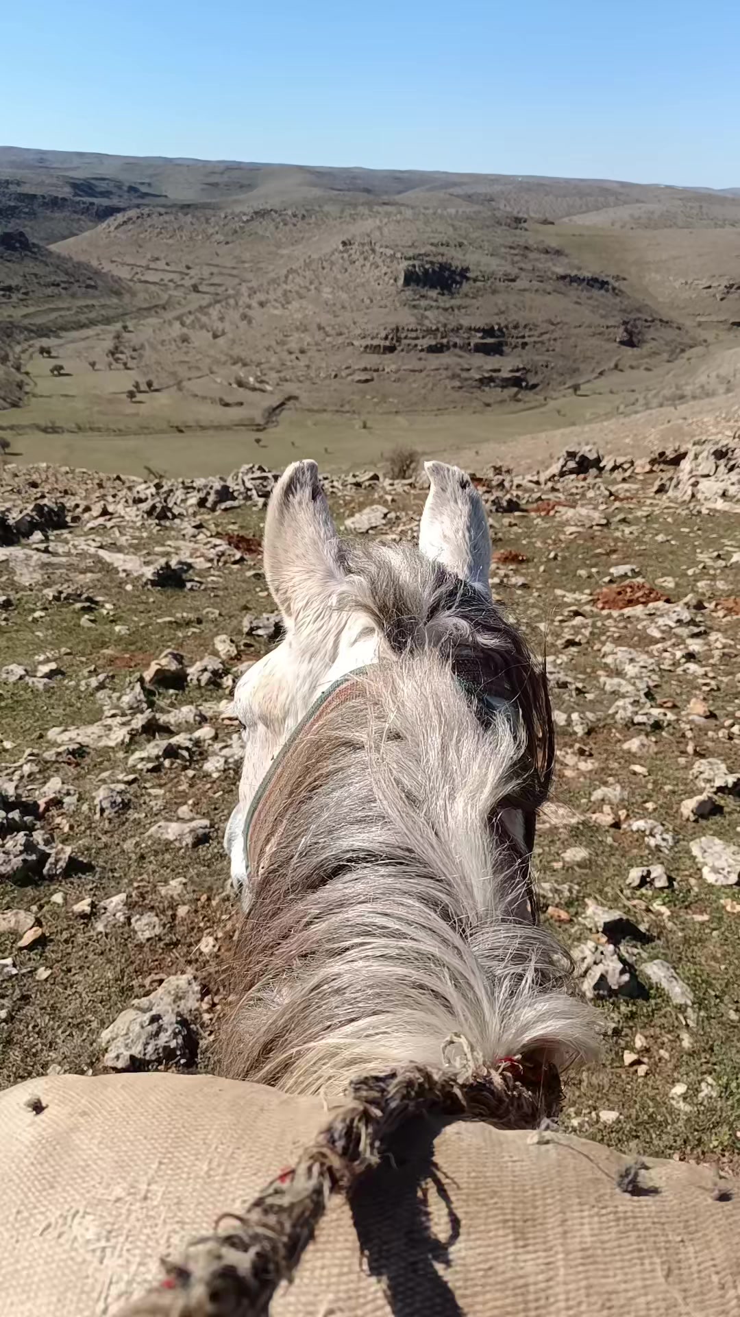 @Abdurrahim gül
