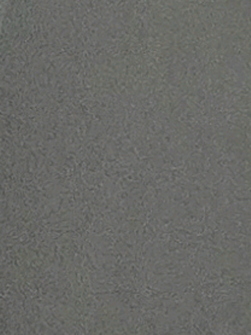 @raya_2000
