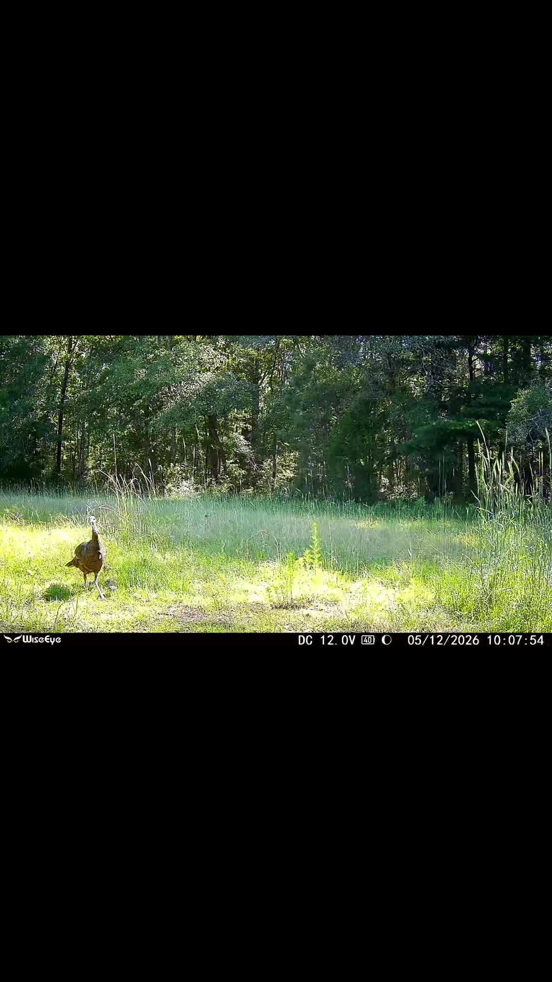 @🦃 Lynchburg Outdoors 🦌