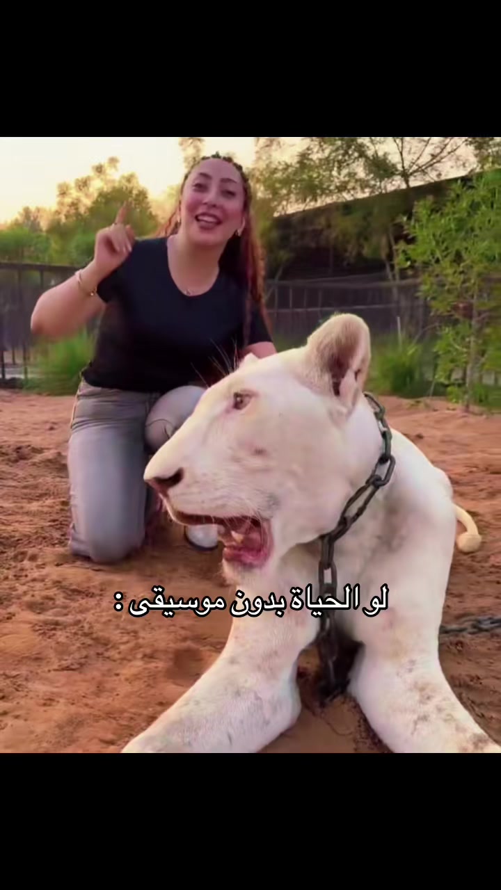 @نـورس🪽