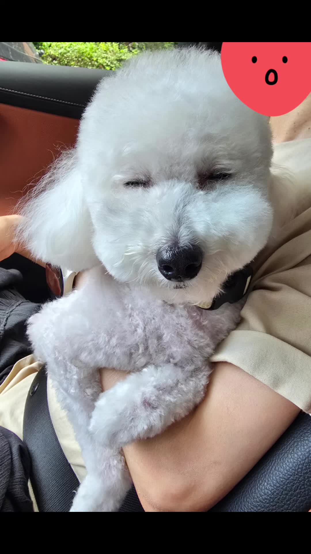 @코우