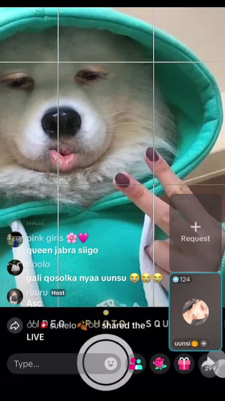 @anjaalina