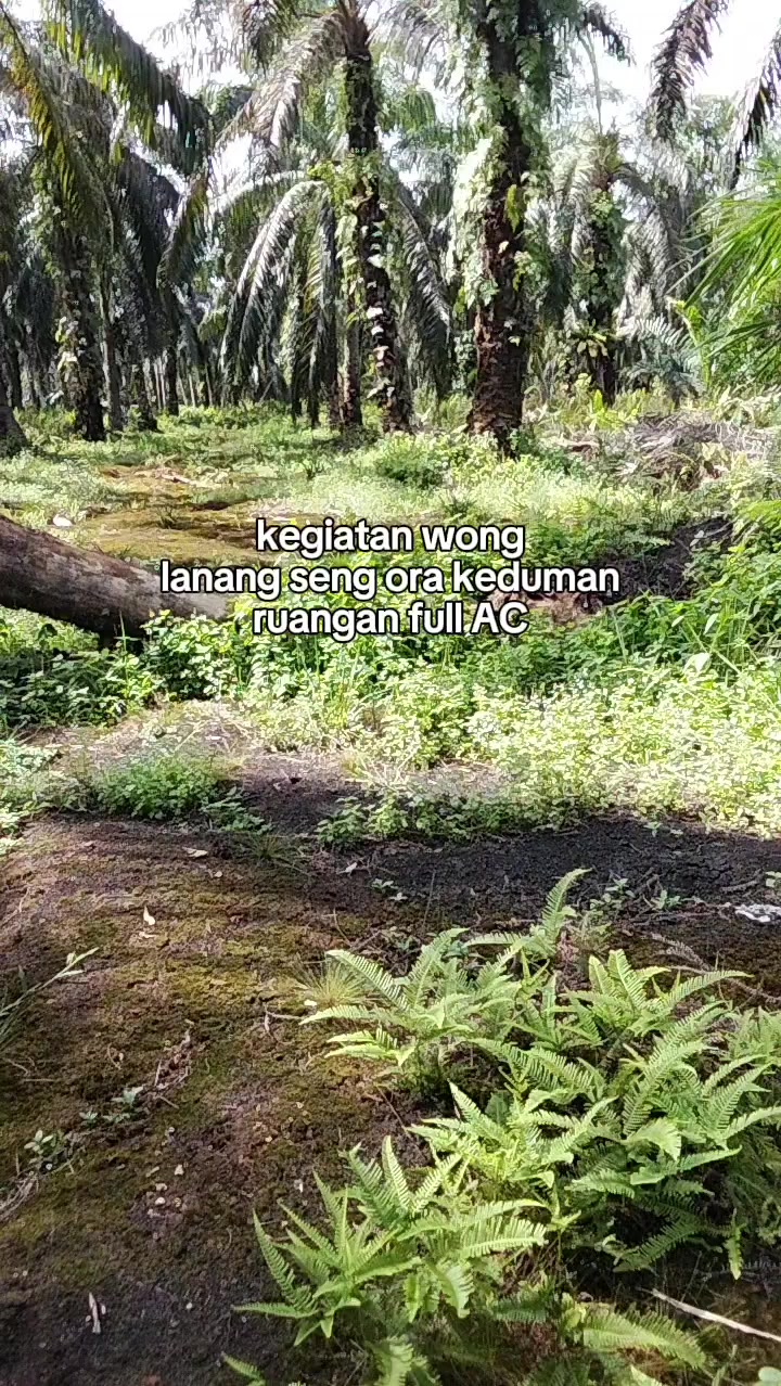 @Yudi