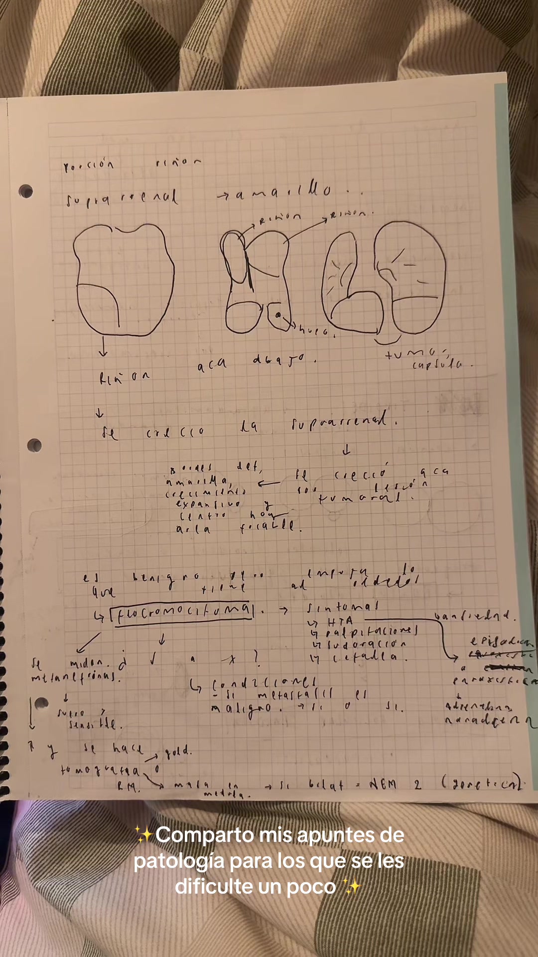 @Sara.ovalle19