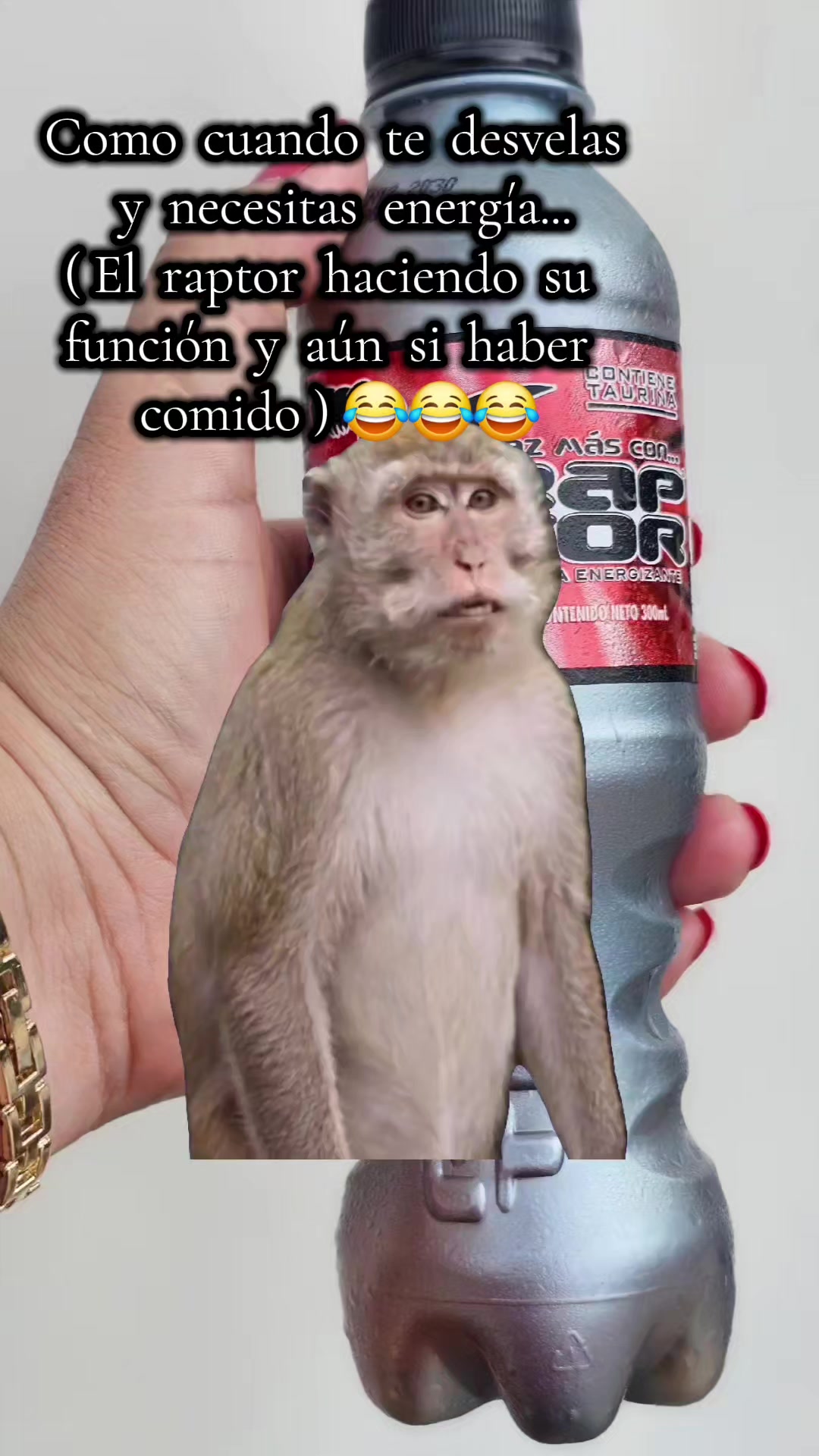 @โค๏ธ๐ฅ๐ซฆ ๐ณ๐๐๐๐๐๐ ๐ซฆโค๏ธ๐ฅ