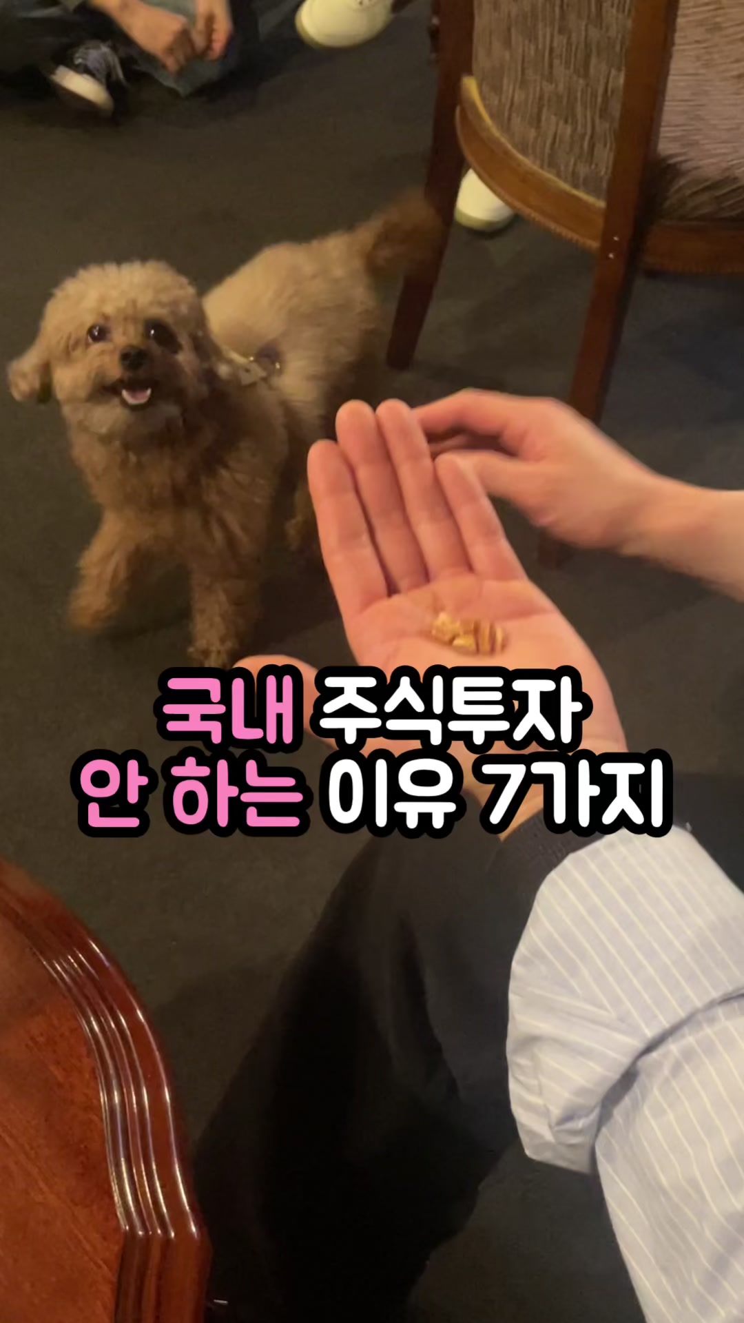 @자유 레코드