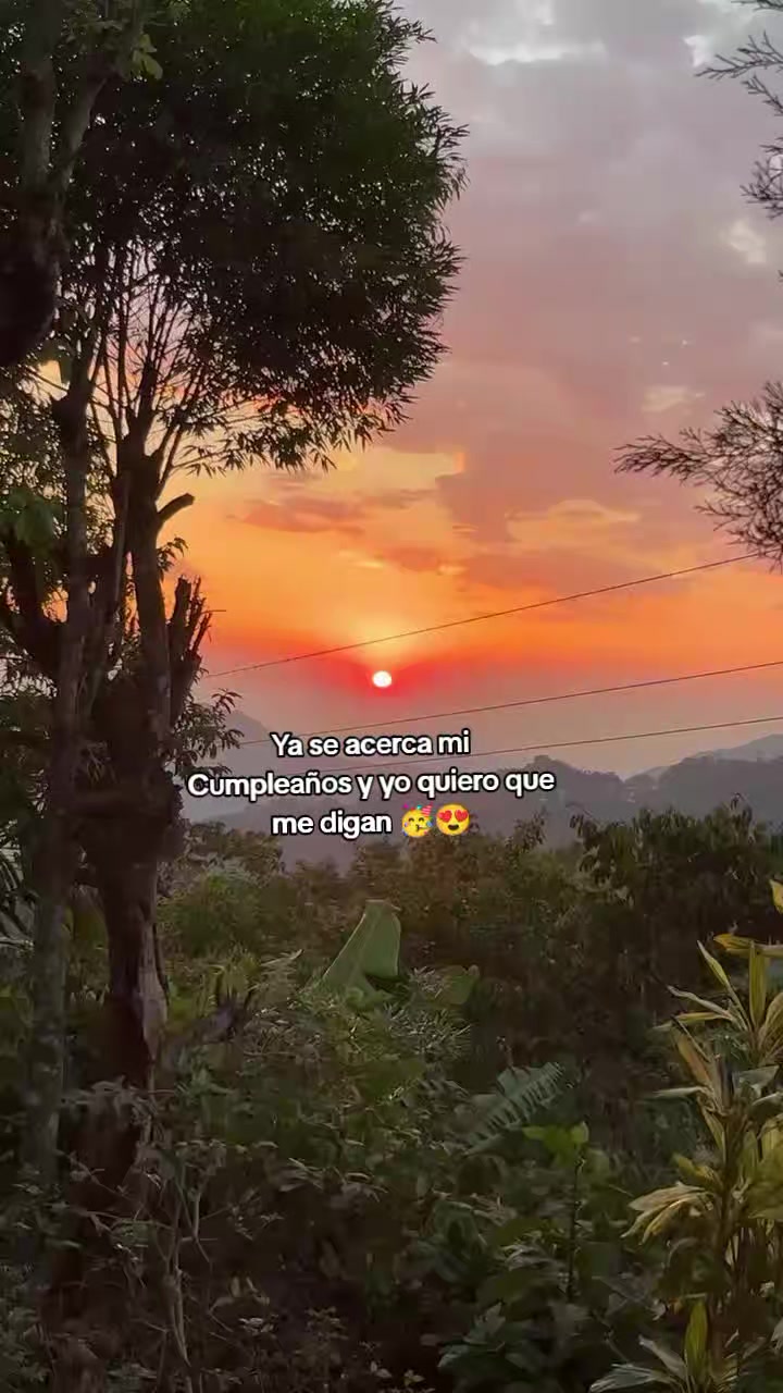 @Ciria Roblero