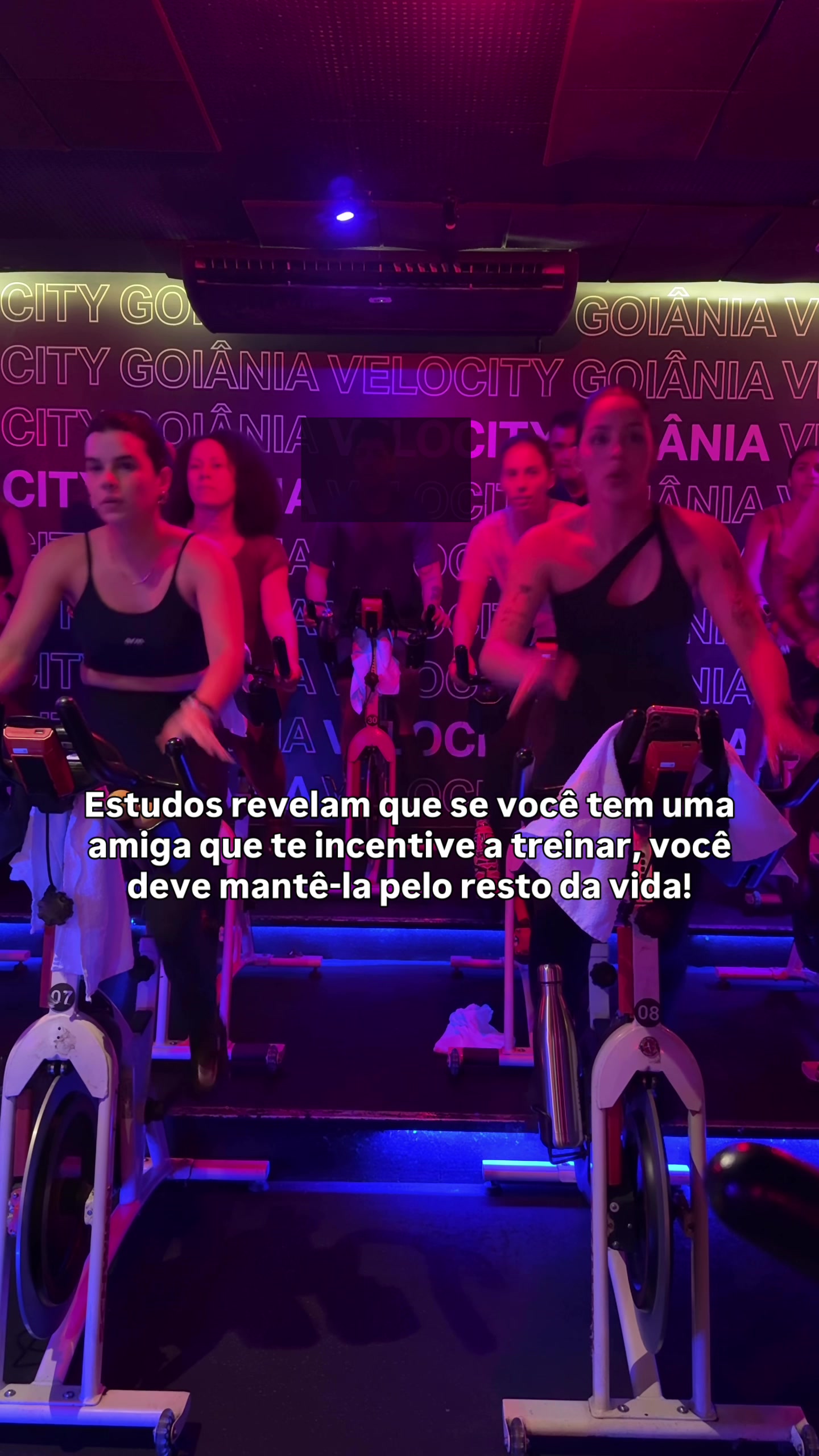 @Carolina Rezende