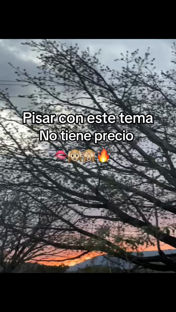 @Michell Alfaro๐๐