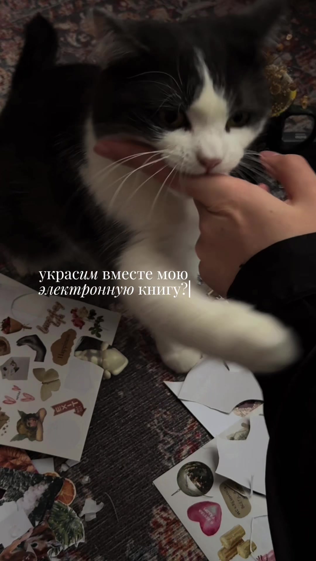 @алина в книжных вселенных