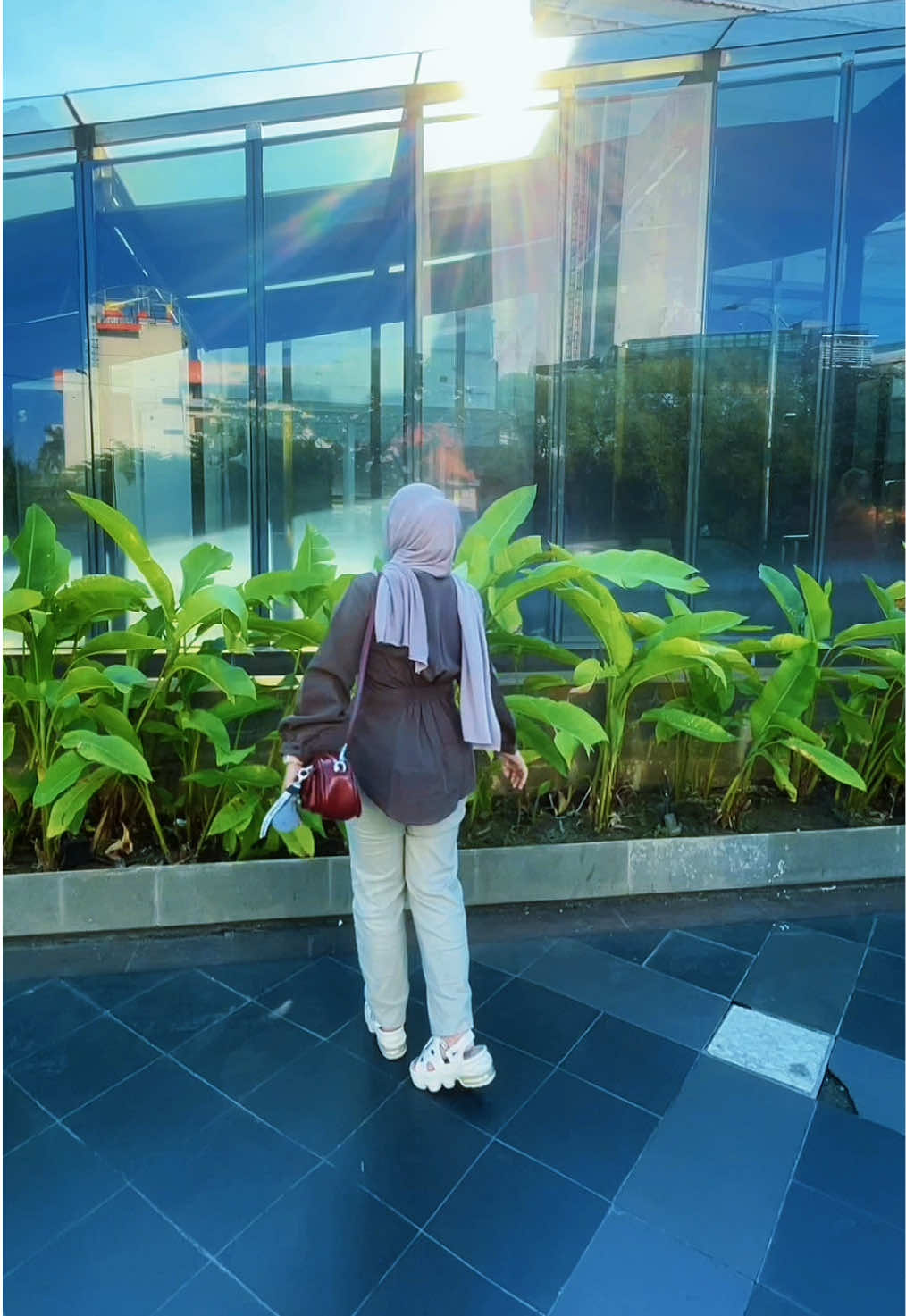 @windaoktav
