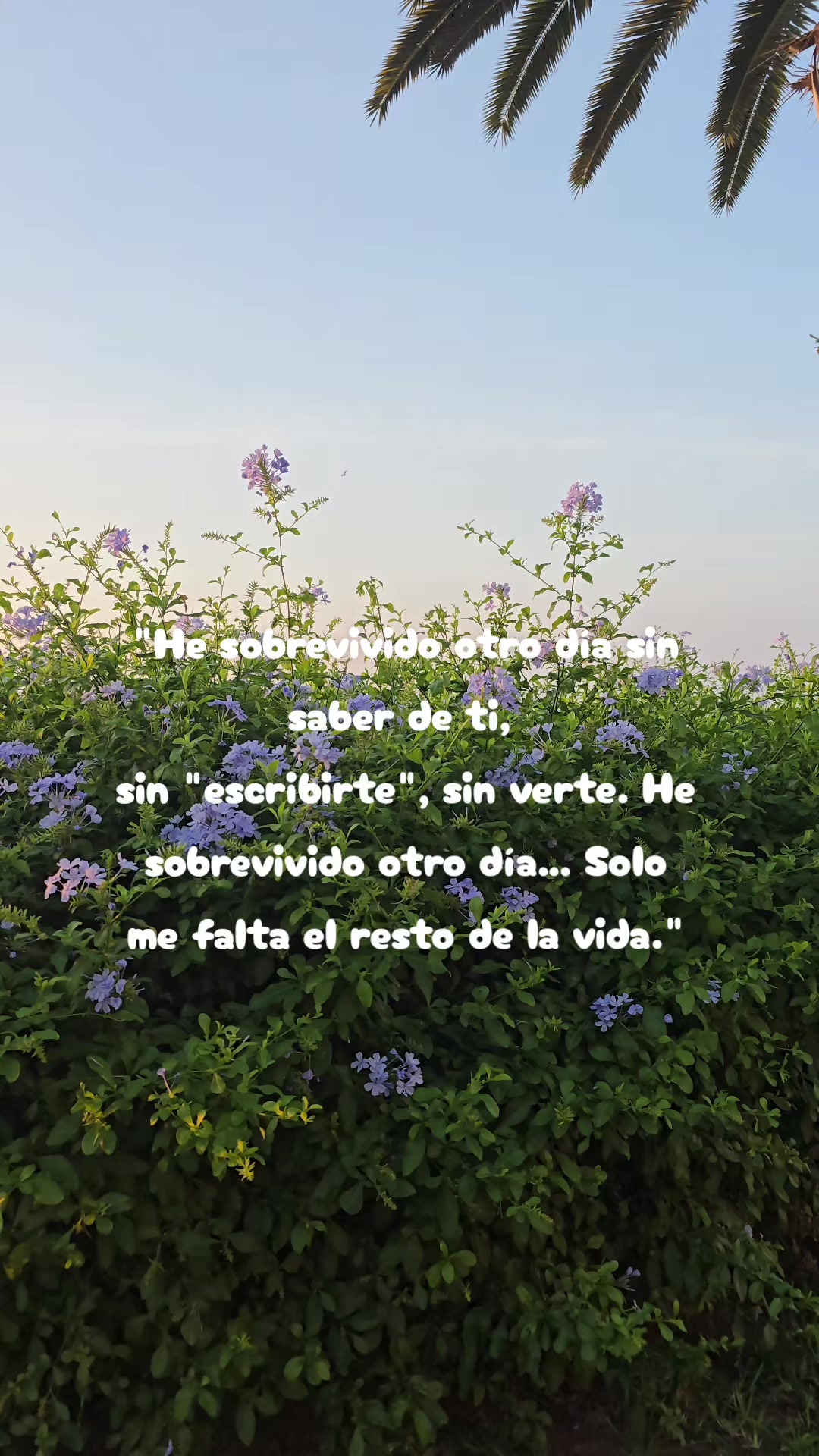 @Jorge Luis Bustos
