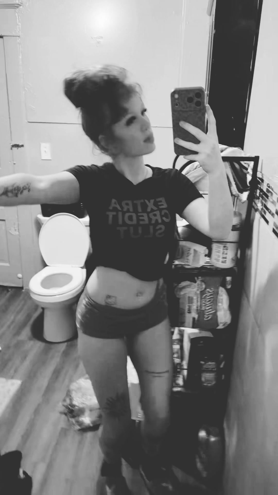 @gingertitus