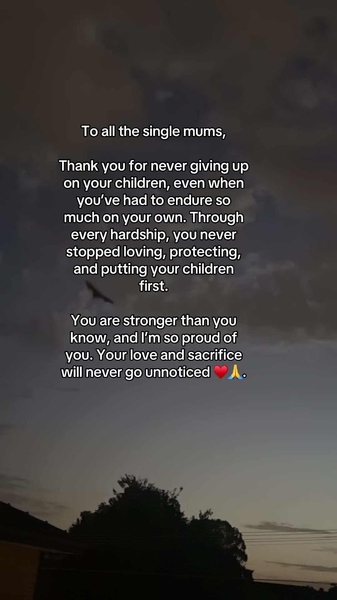 @realityoflife