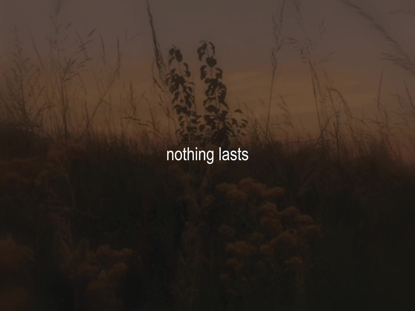 @Country Folk Intern
