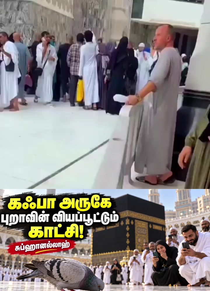 @Juwaideen