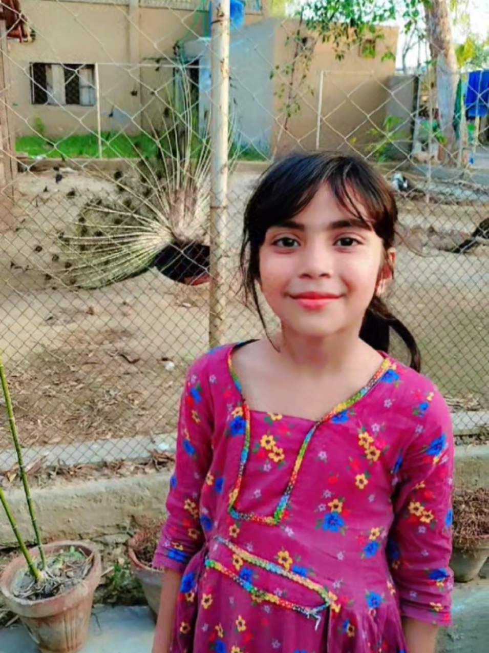 @Ibrar Urdu Lyrics