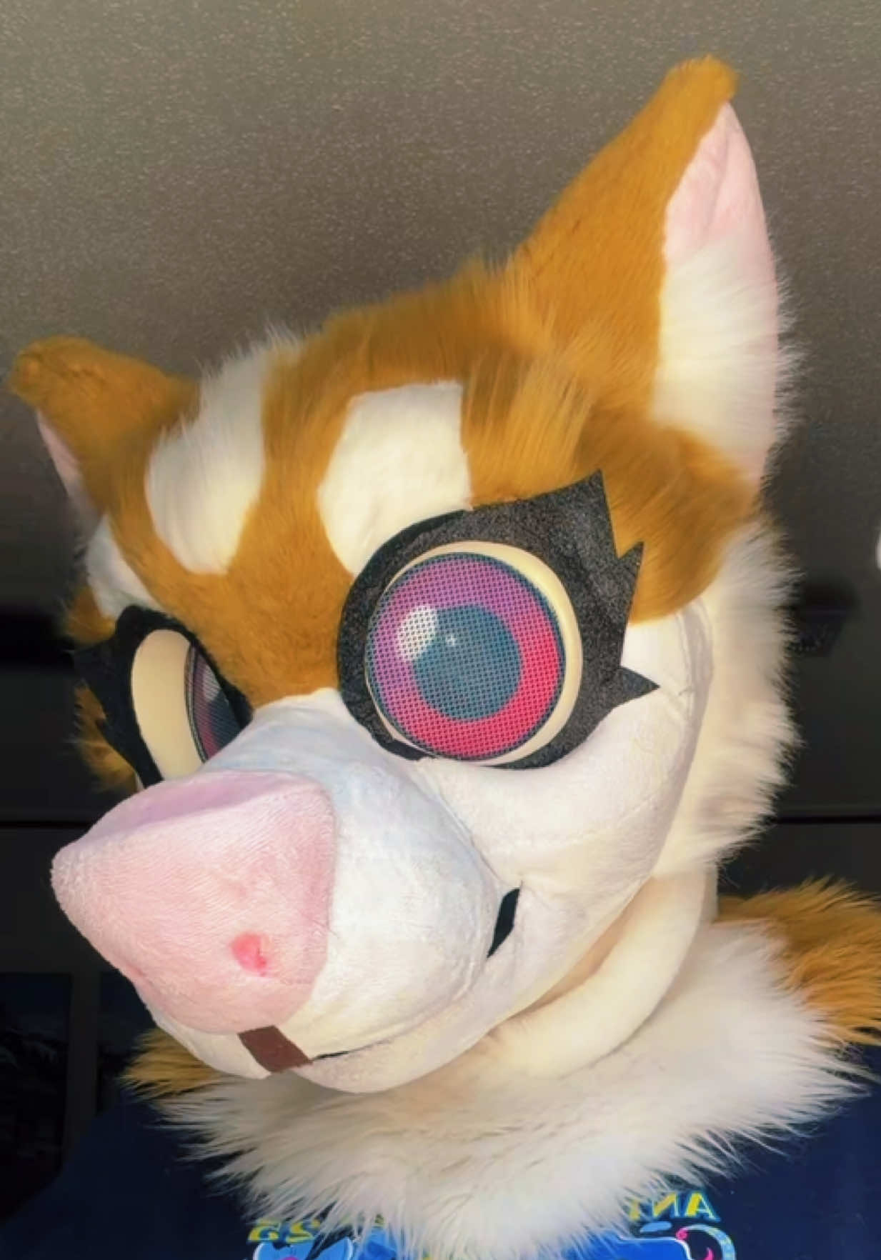 @Icey 🔜 MP 2026