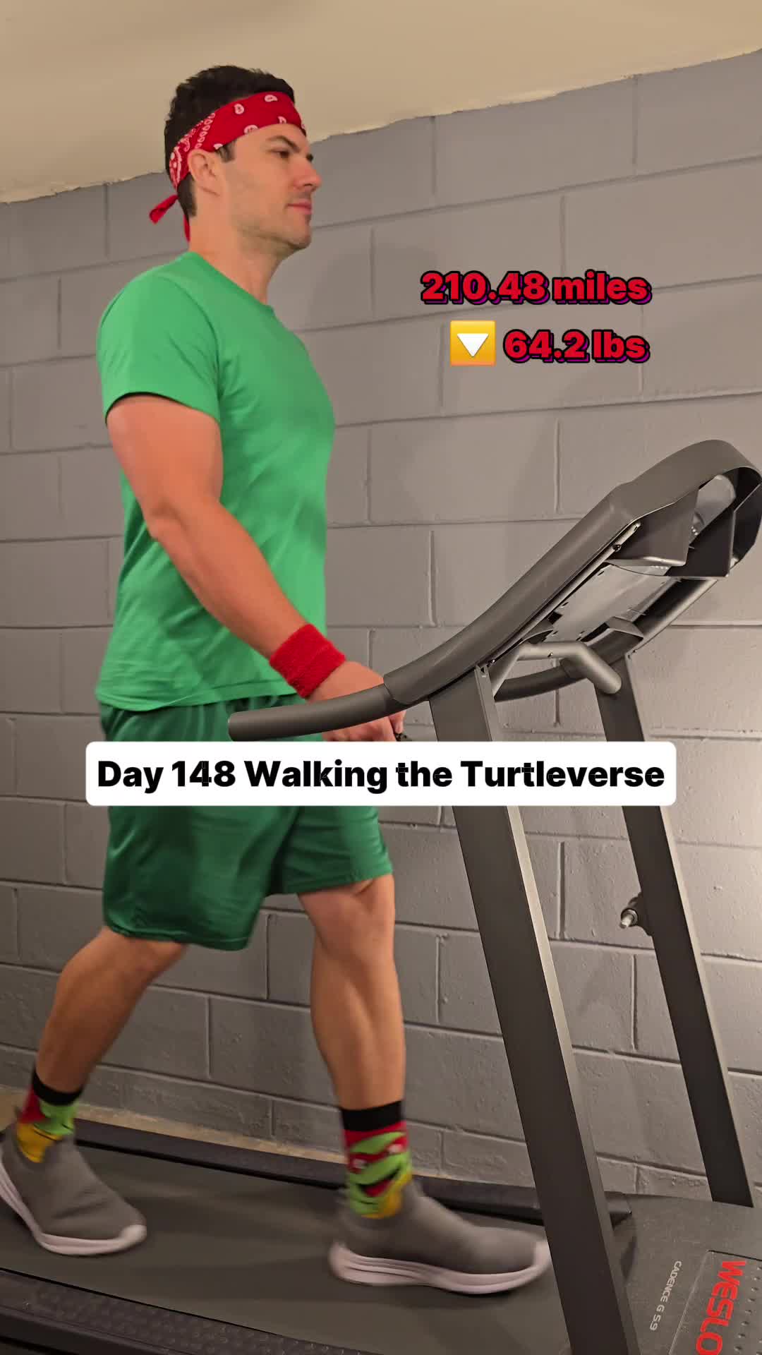 @Walking the Turtleverse