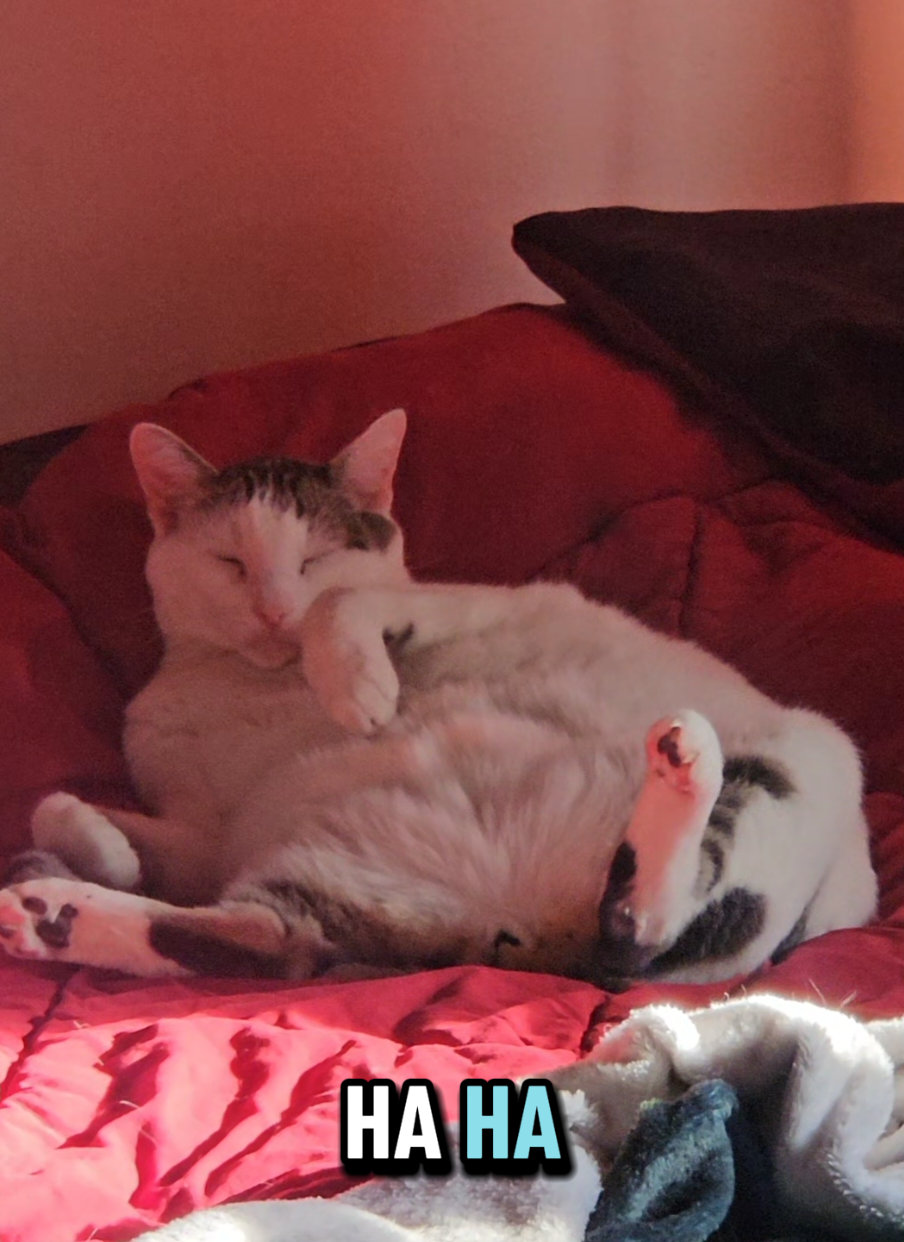 @Kat