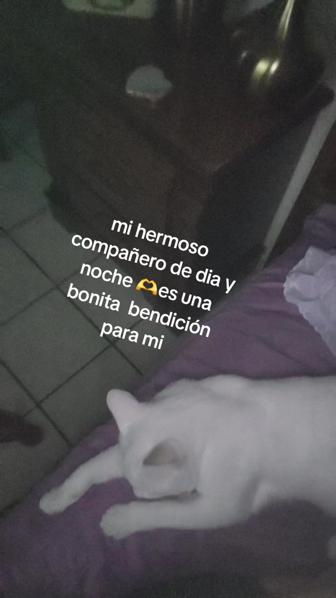 @Alma González