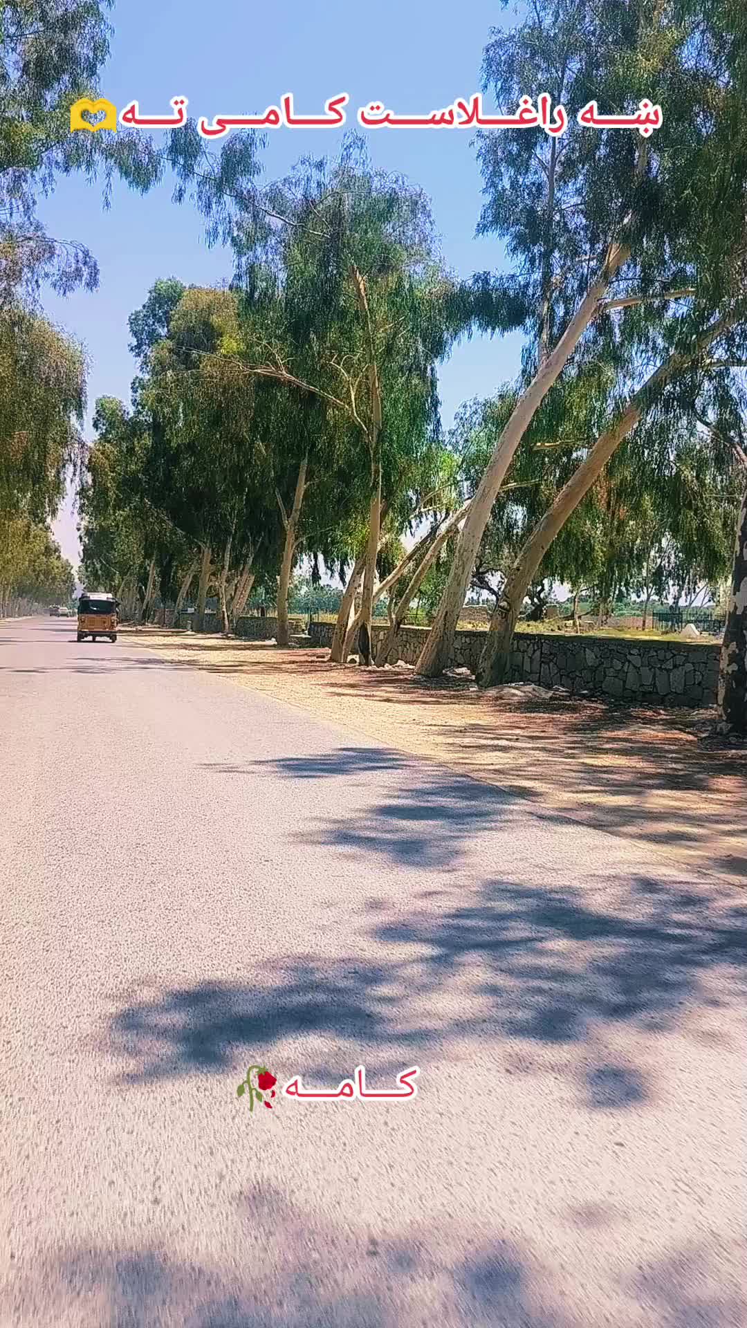 @🇦🇫꧁༒☬itx کاموال☬༒꧂