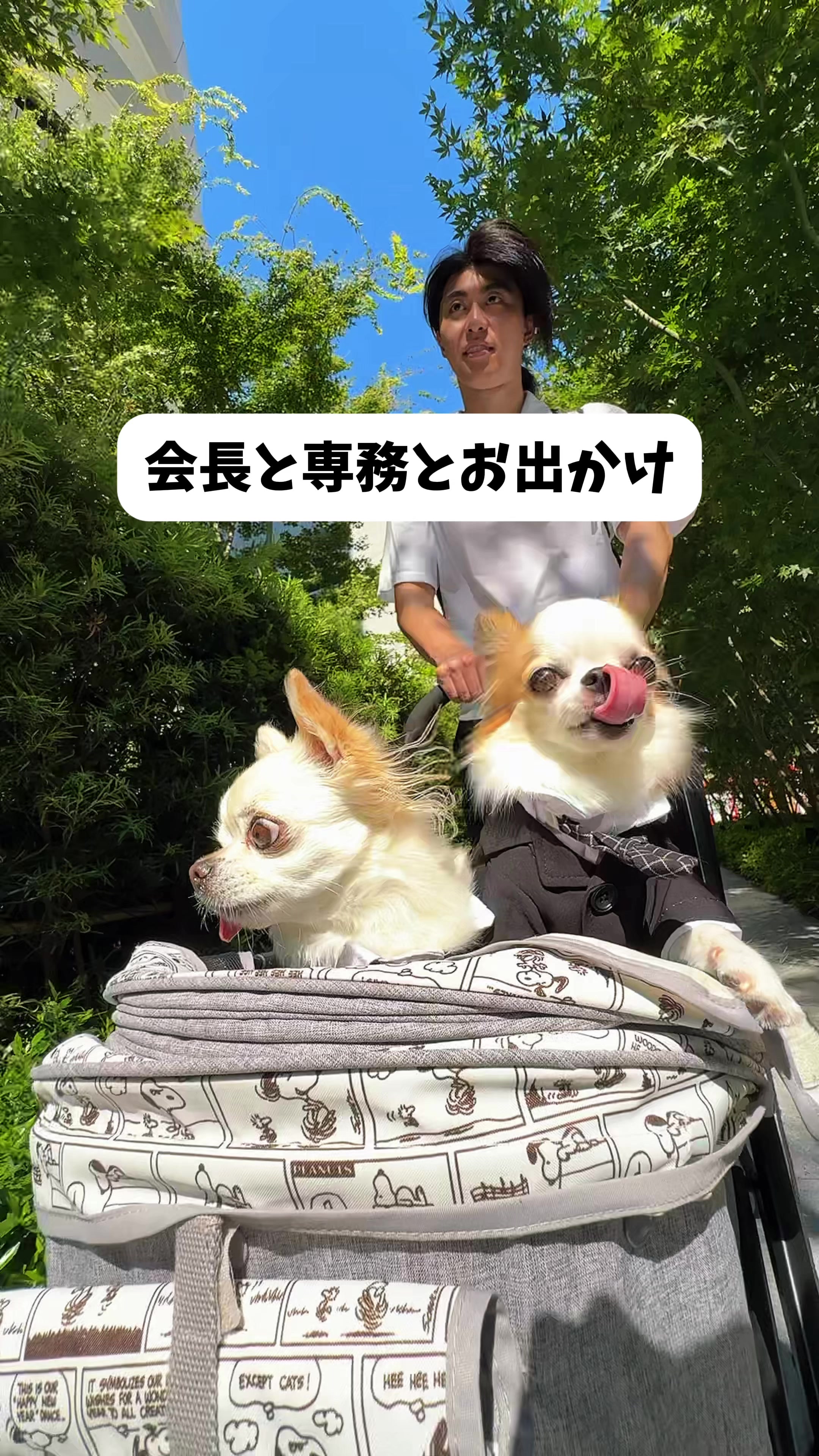 @🐶PET SHOP JAPAN🐶