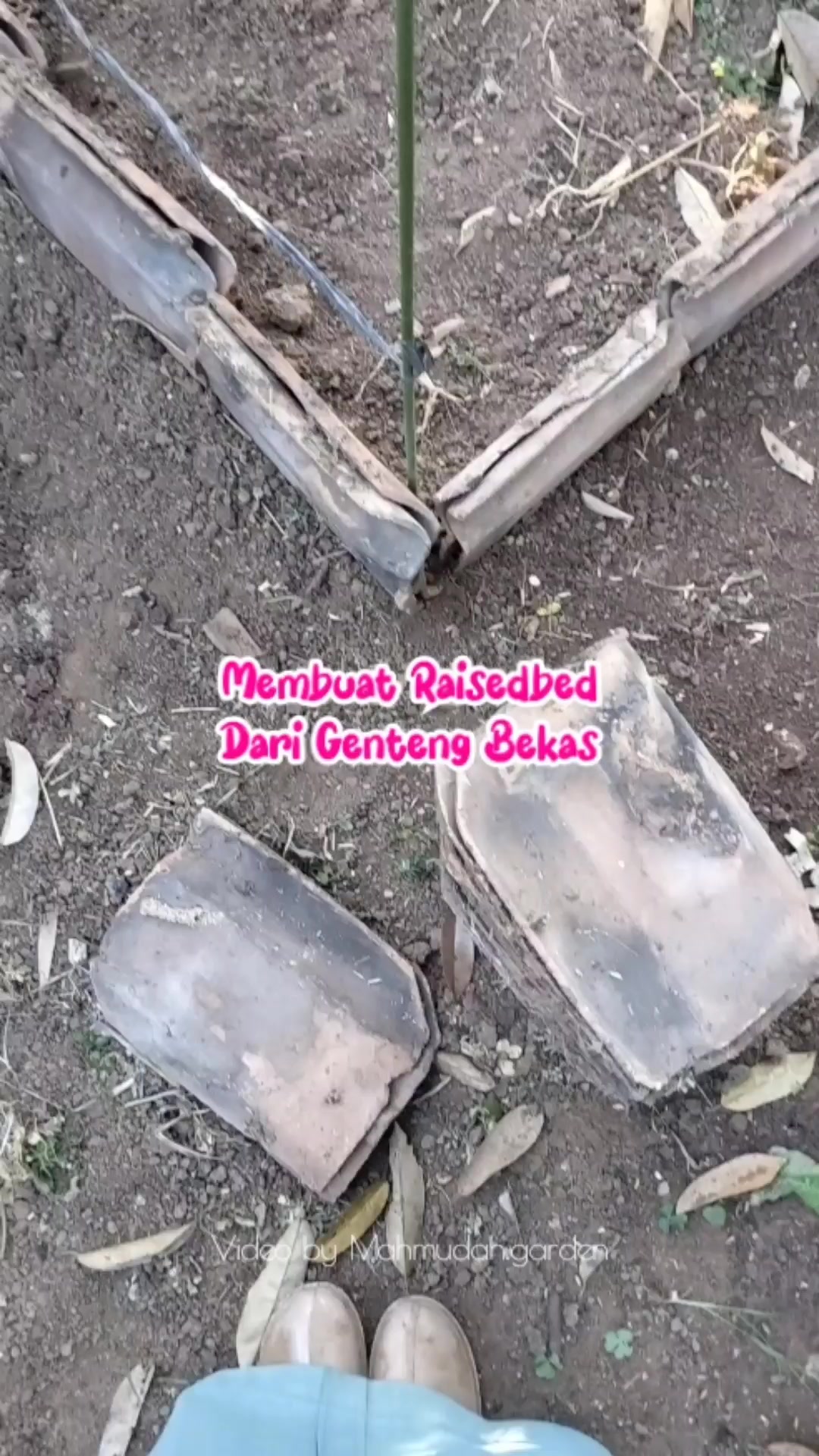 @mahmudah.garden