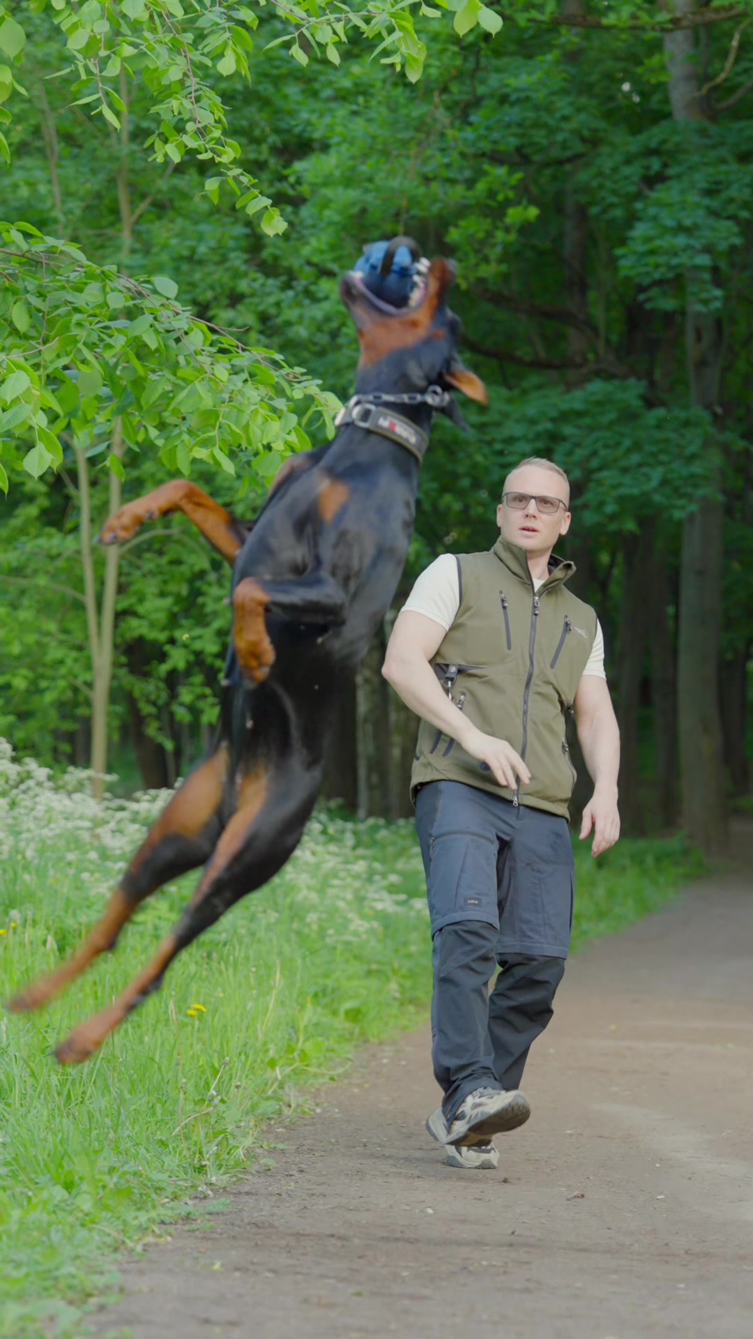 @Djudi_Doberman