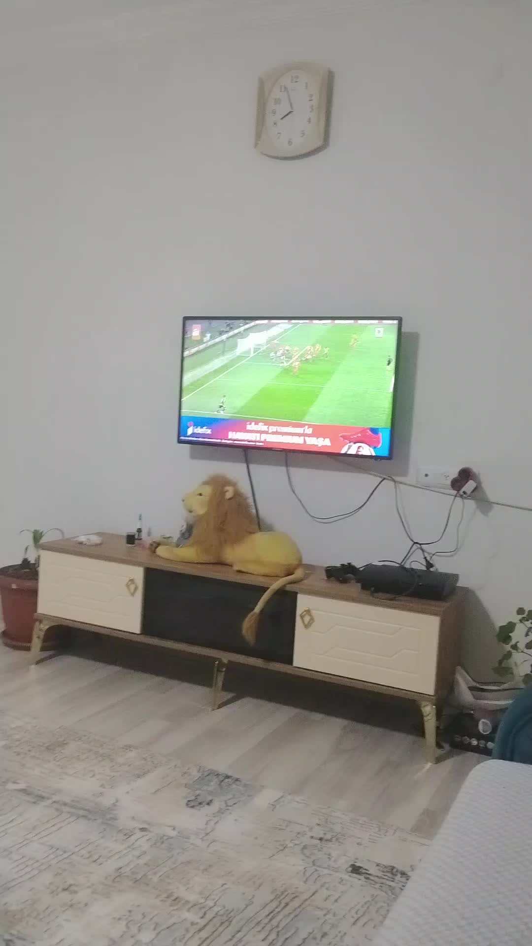 @Ibrahim G&uuml;ltekin3905