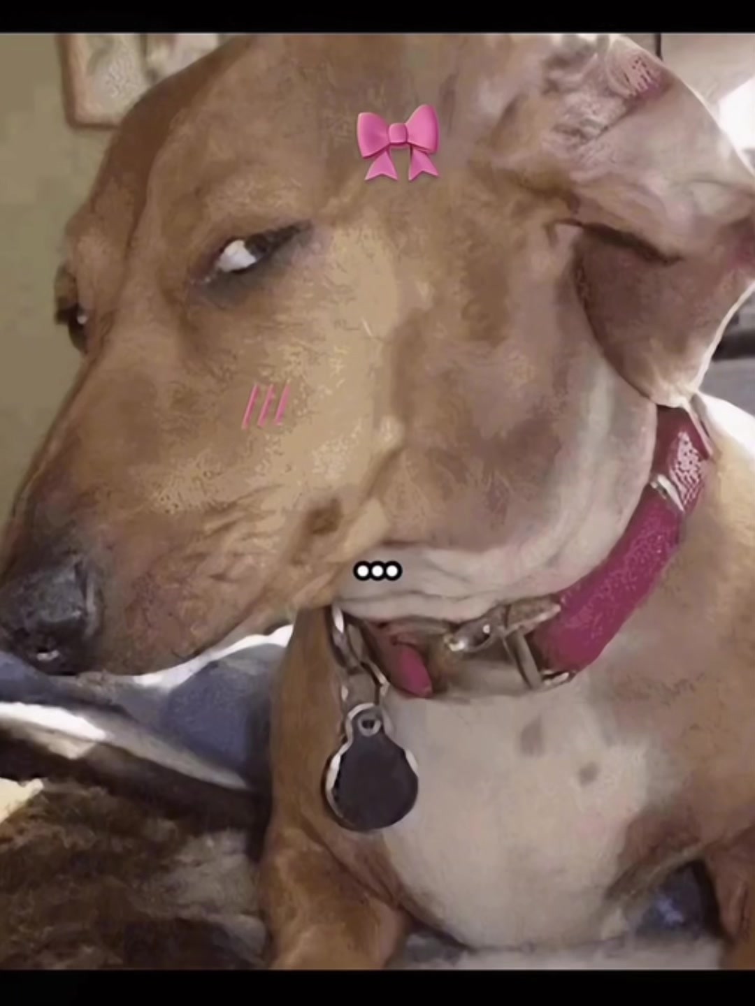 @Jay