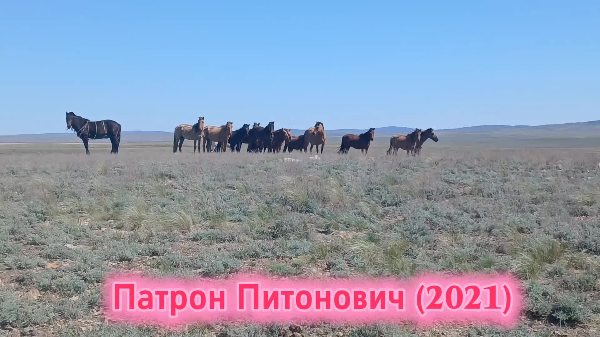 @ҒАЛЫМ ҚАЛАБАЕВ