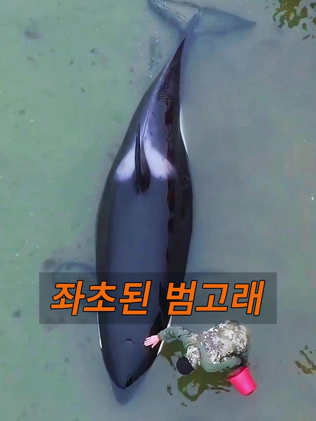 @삼촌Cut2025