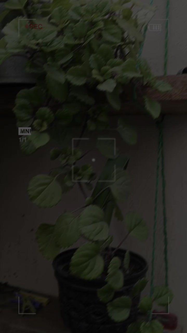 @#๐๐ช๐ซ๐ซ๐๐๐ ๐น