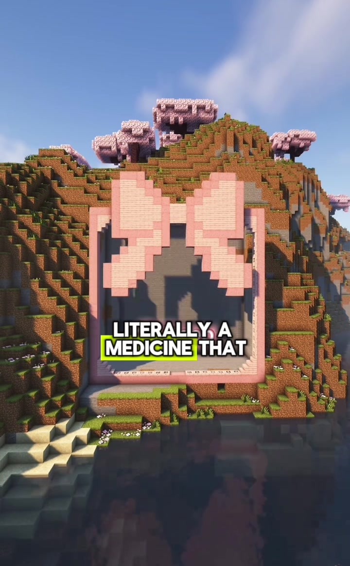 @🌺