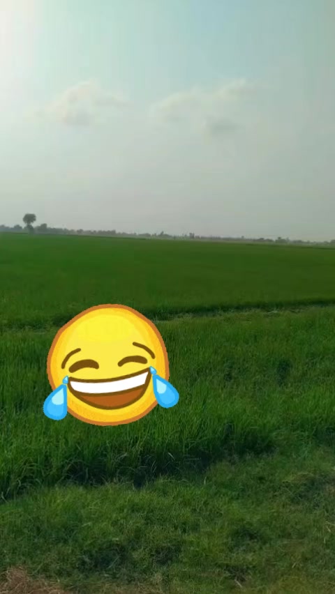 @𝘢ɳᵤ𝚖𝘢𝗅ⲓ𝐤 🎶