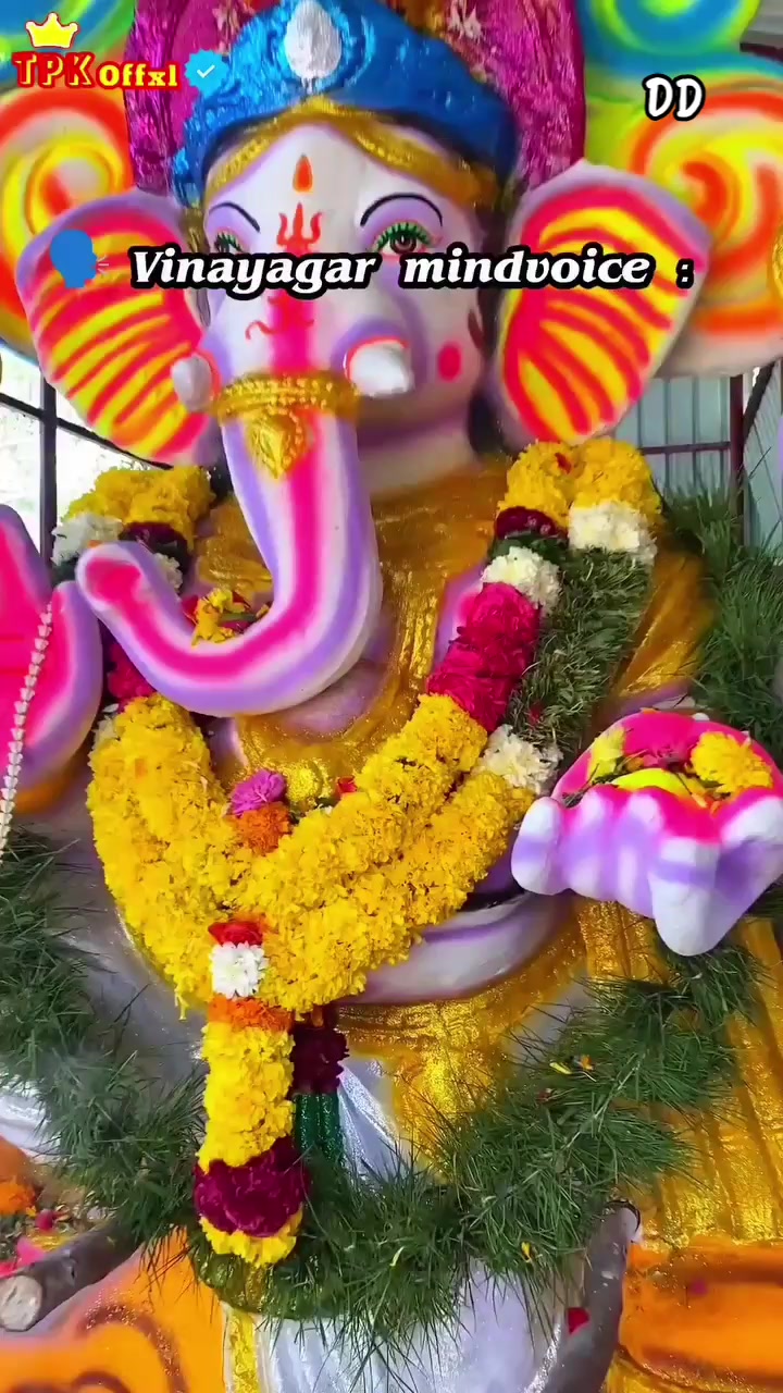 @DD RAJAN