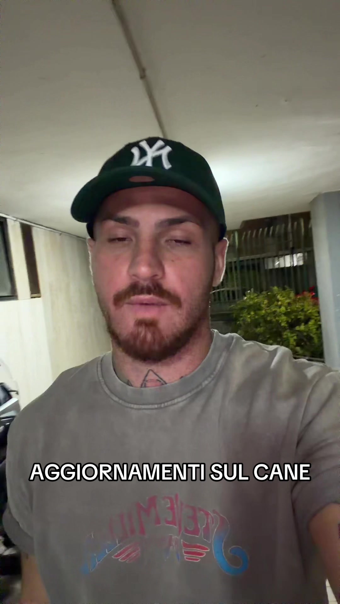 @alfredofoffy