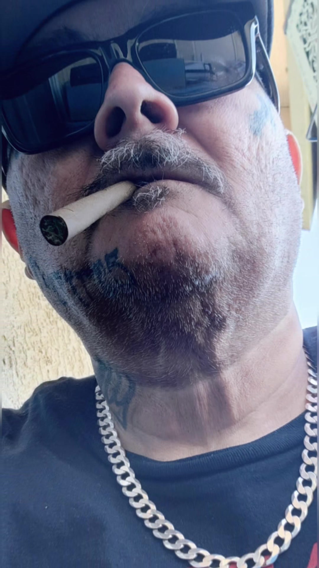 @ANT.DOG.theOG