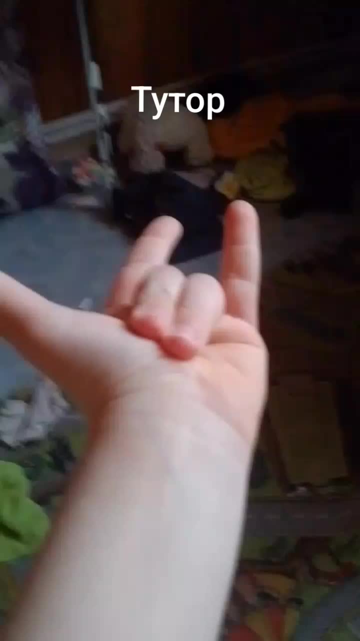 @Фокси1337